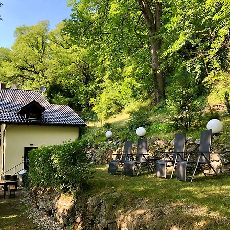 Chalet An Der Donau Direkt Bei Regensburg, 5 Sterne Dtv Pentling Exteriér fotografie